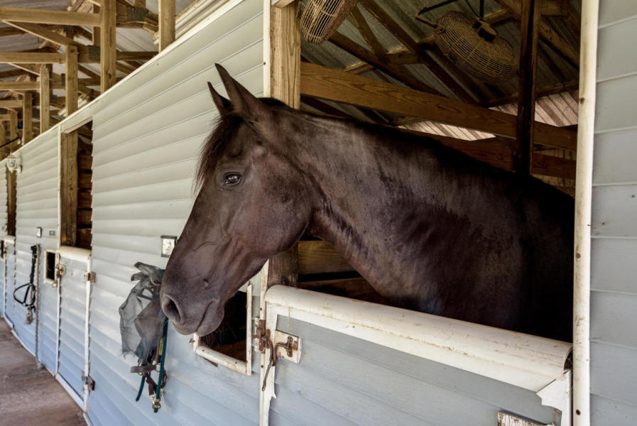 KELLY PLANTATION S/D - Residential