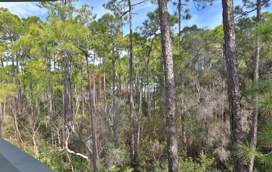 KELLY PLANTATION S/D - Residential