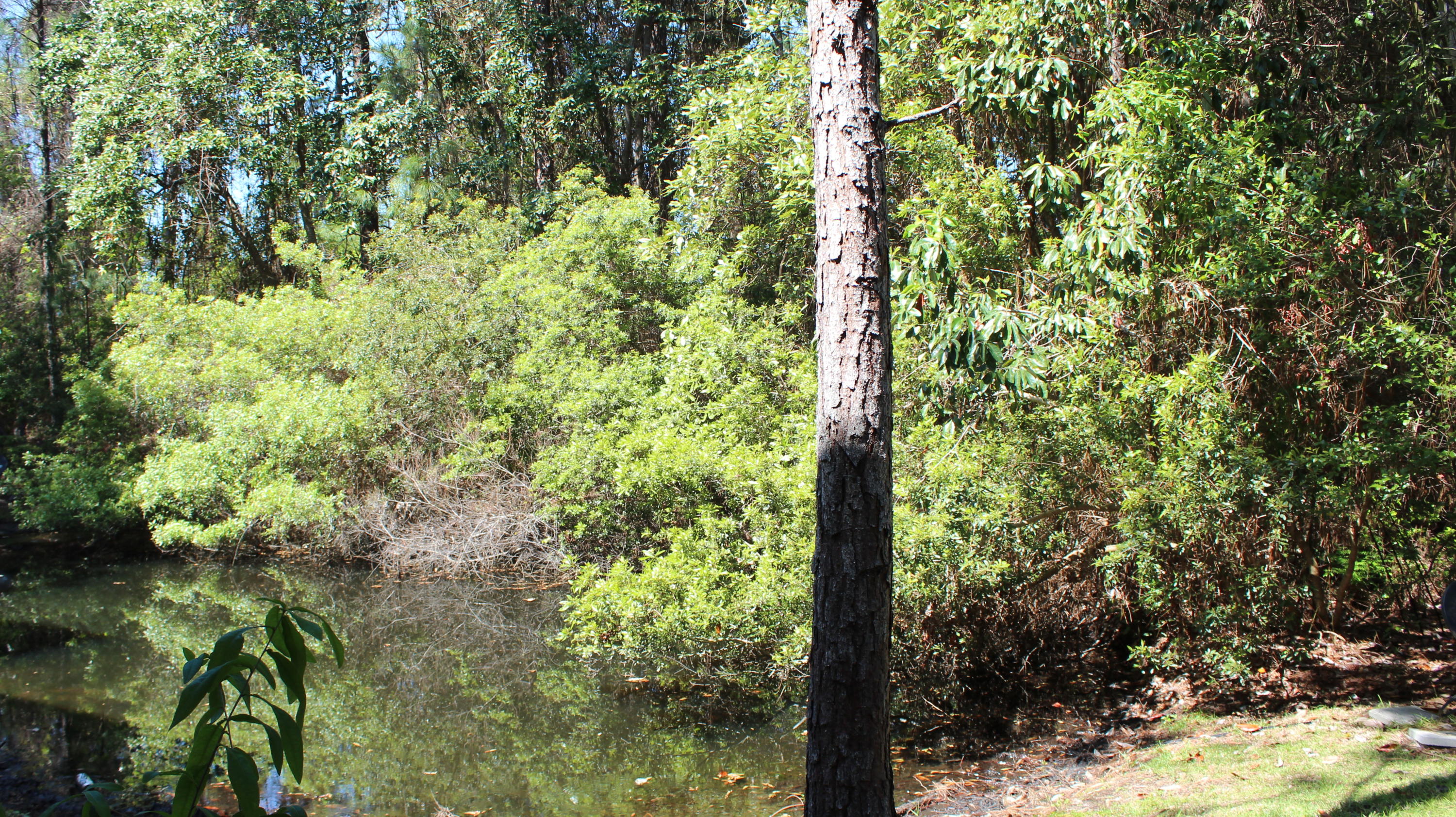 POINTE OF VIEW CONDO - Residential