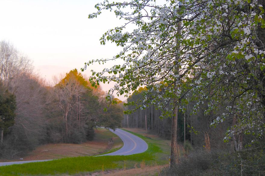 80 wooded acres in North Walton County ( big deer country). Complete with a 1232 S.F. brick farm house perfect for a hunter's camphouse.Over 1500 feet of paved highway frontage. the property boasts a mixture of mature hardwoods and big pines. Property being sold ''as is.'' Seller will do no repairs to house. Certified 2015 appraisal in file showing value to be $240,000.00