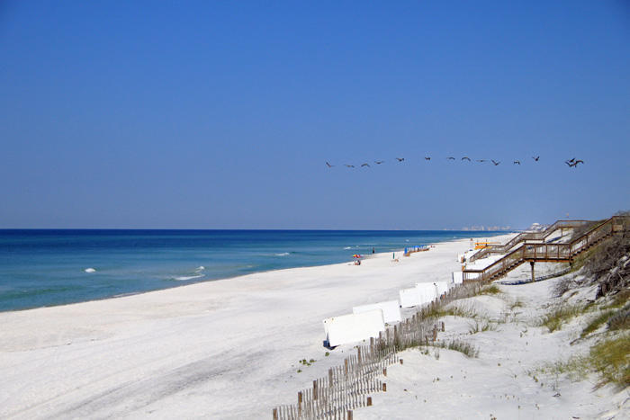 THE HAMMOCKS OF SEAGROVE - Land