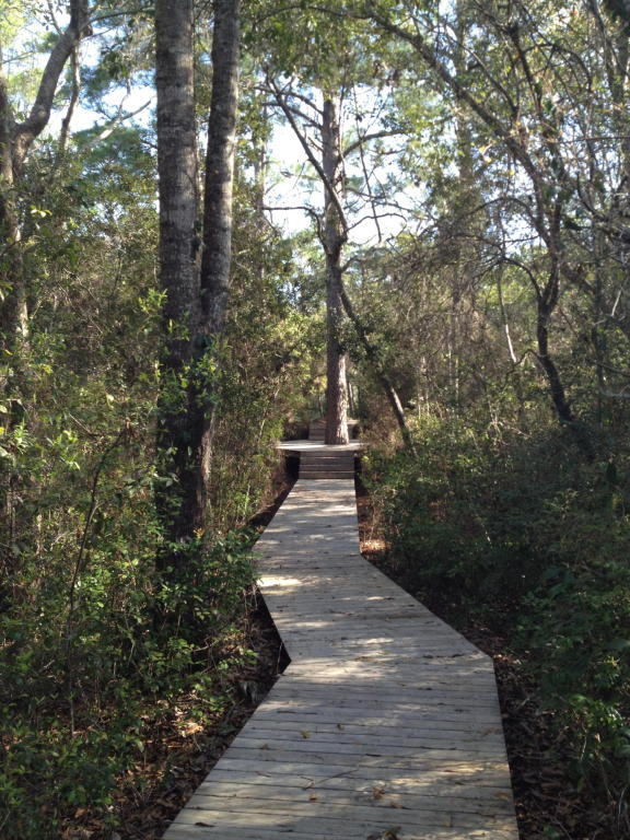THE HAMMOCKS OF SEAGROVE - Land