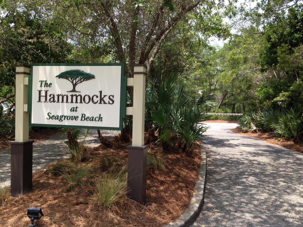 We're running out of land! This is your chance to own a lot in the beautiful gated community of The Hammocks at Seagrove ideally located VERY close to the beach. Community has two swimming pools and a dock at the bayou that leads to Western Lake. Walking distance to Seaside & Watercolor, shopping & dining. No build out time. Short term rental allowed. Buy today or kick yourself tomorrow! ***Buyer is responsible for personally verifying details about this property. All information contained on the listing is believed to be accurate but not guaranteed. ***