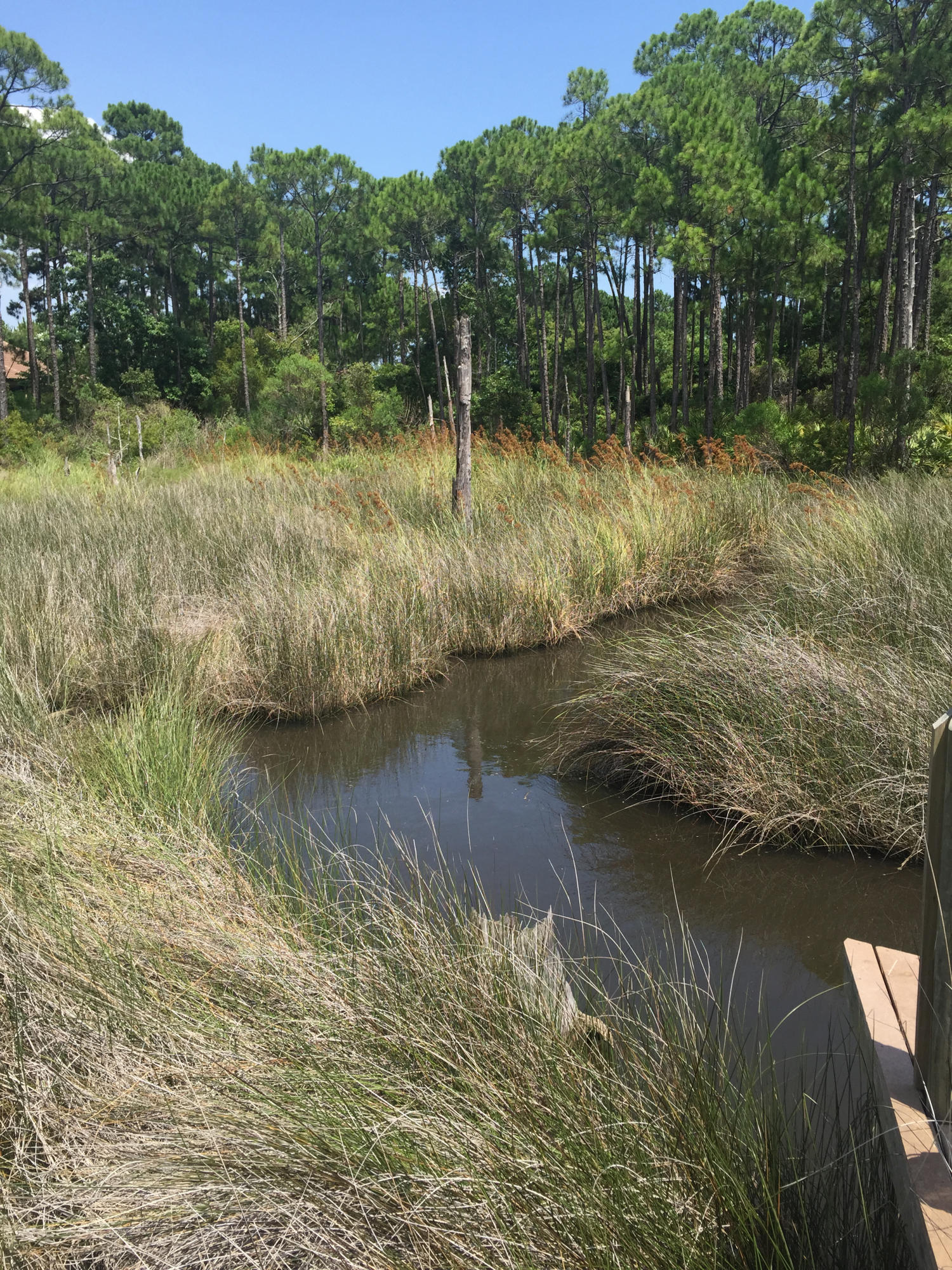 REGATTA BAY PH 1 - Land