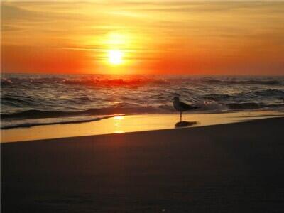 Pilot House - Residential