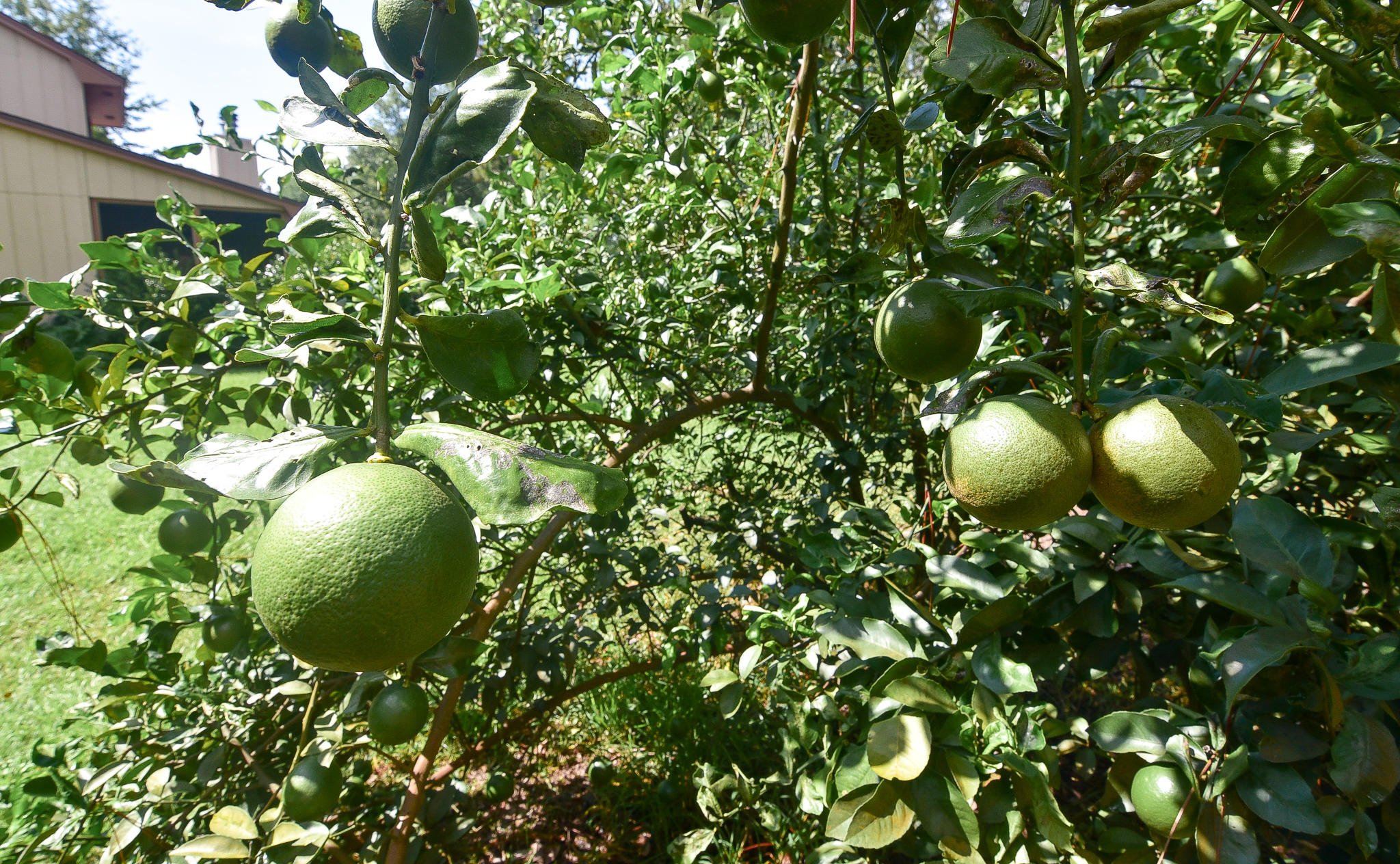 Bluewater Bay - Residential