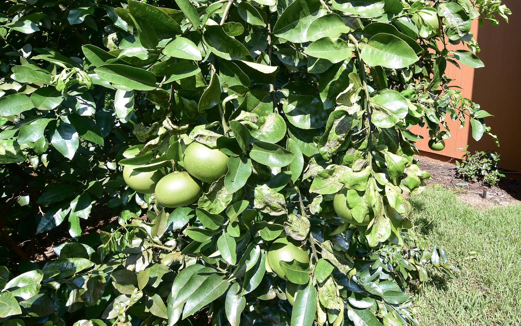 Bluewater Bay - Residential