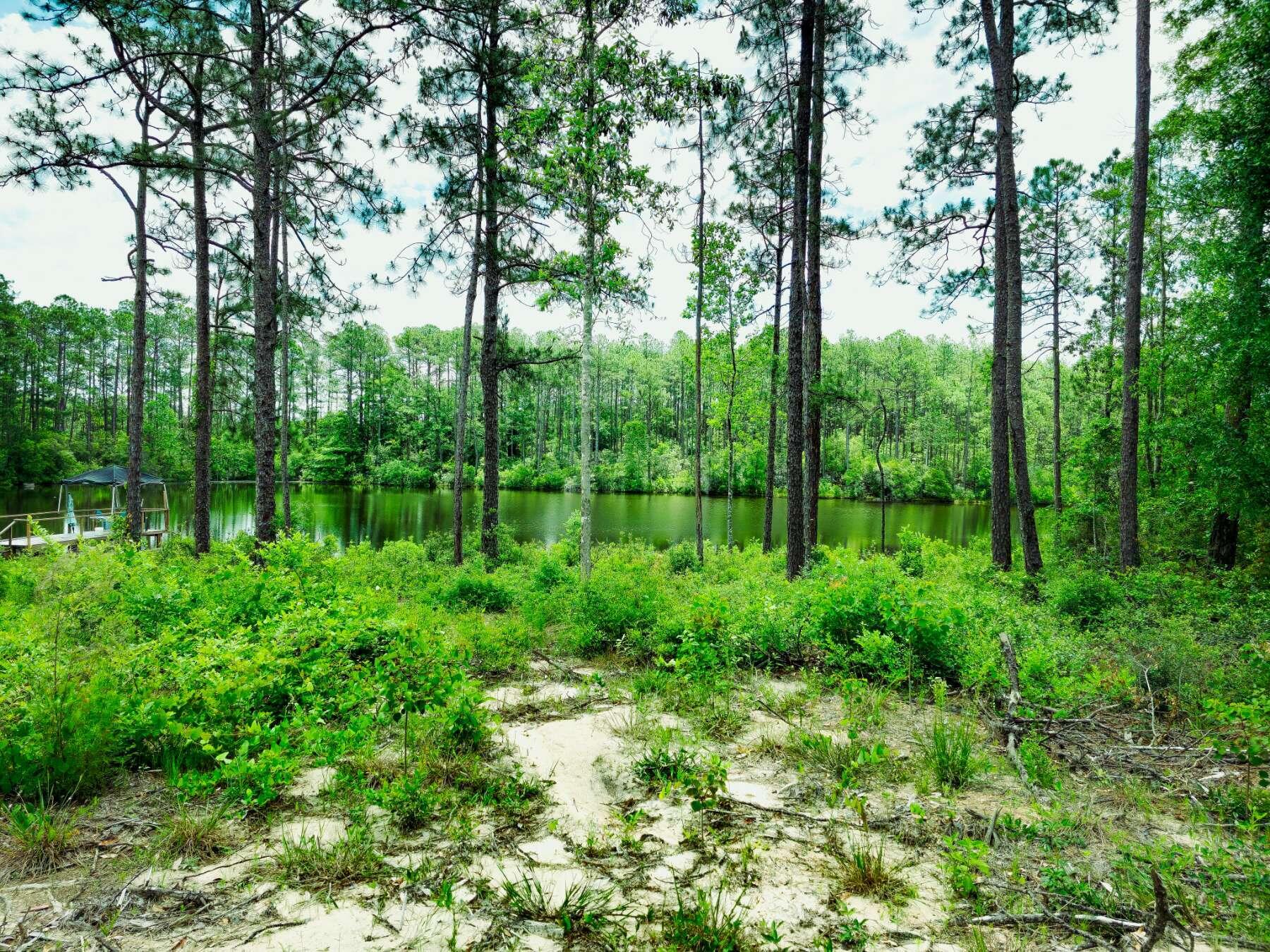 Photo 1 of 7 — Lot 18 Quail Ridge Road, DeFuniak Springs, FL 32435