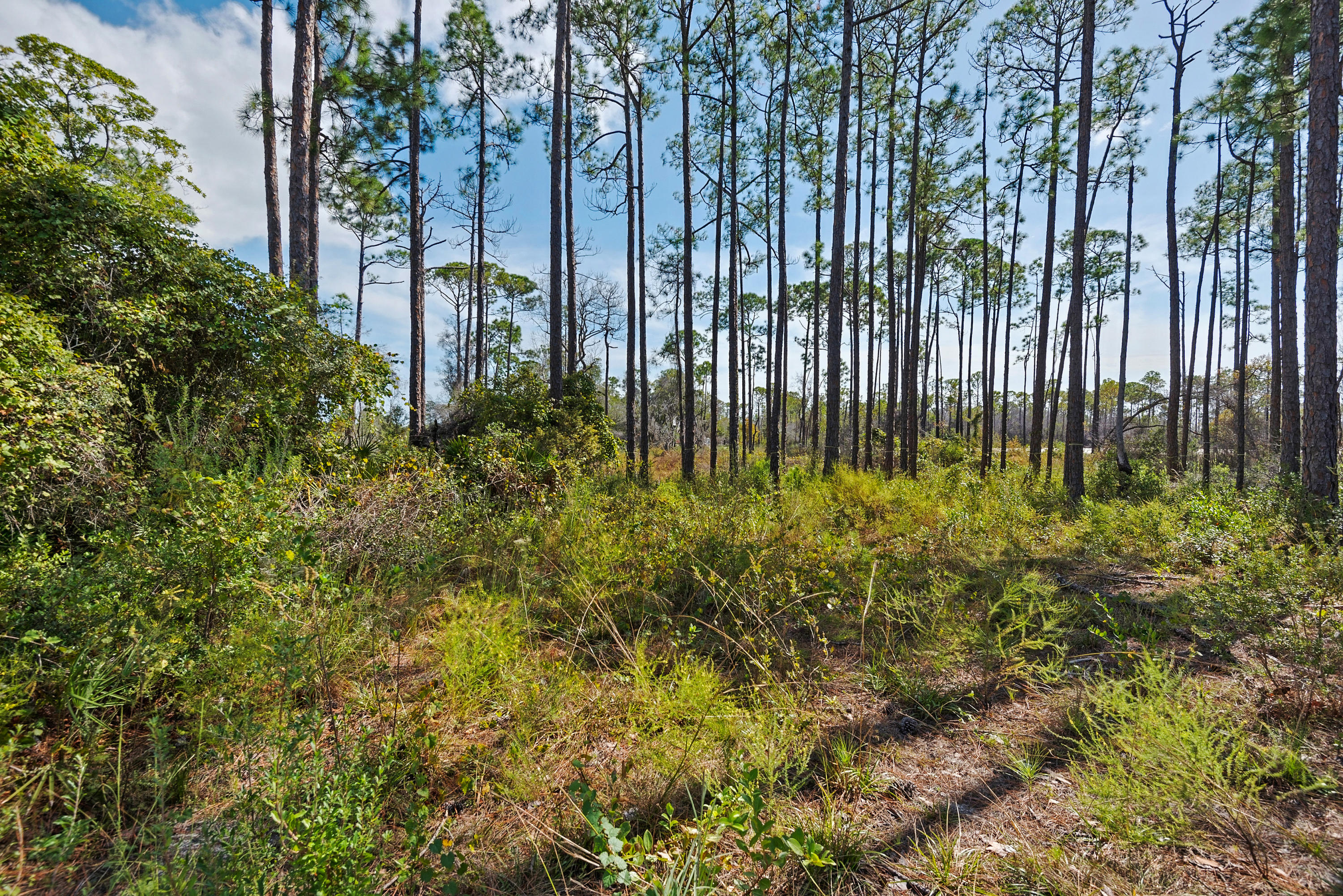Regatta Bay - Residential