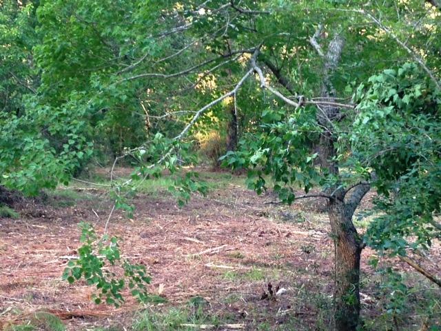 METES & BOUNDS - Land