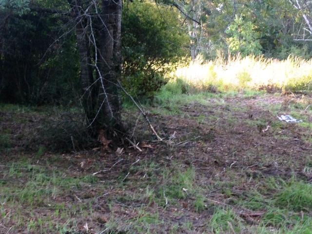 METES & BOUNDS - Land