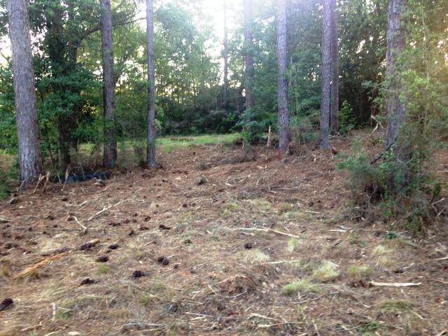 METES & BOUNDS - Land