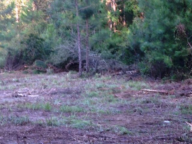 METES & BOUNDS - Land