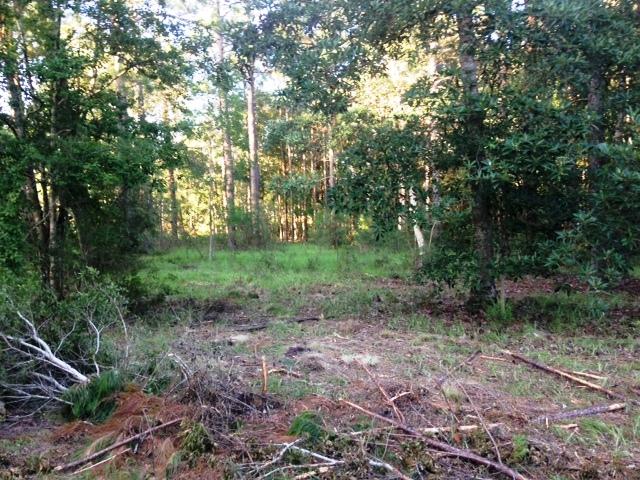 METES & BOUNDS - Land