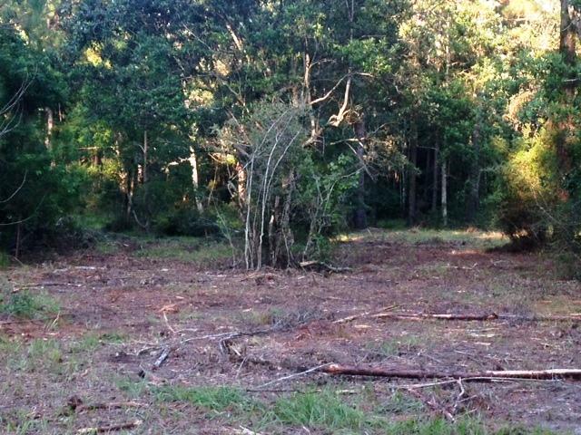 METES & BOUNDS - Land