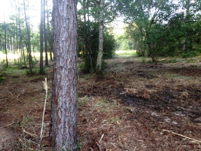 METES & BOUNDS - Land