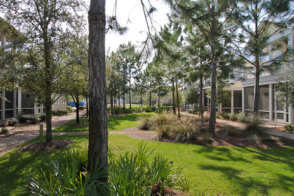 WATERCOLOR - Residential