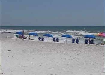 Tropical Isle Condo - Residential