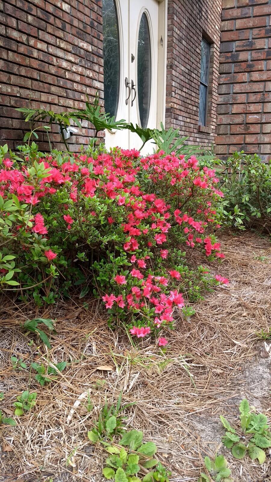 ROCKY BAYOU COUNTRY CLUB ESTATES 3 - Residential