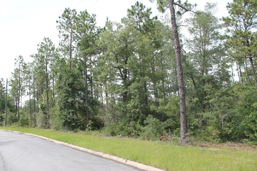 Timberland Ridge - Land