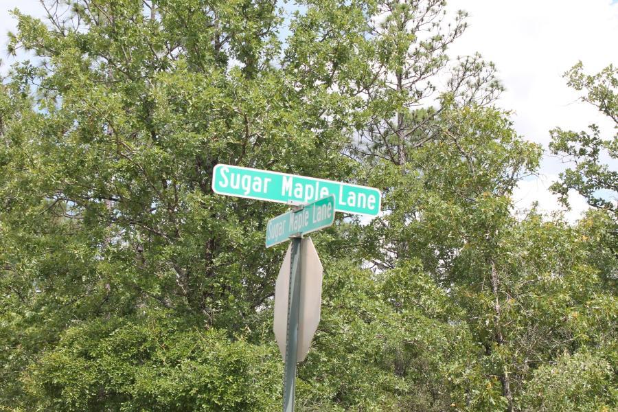 Timberland Ridge - Land