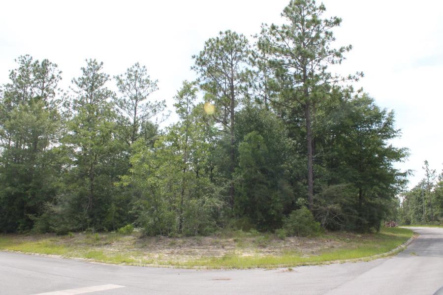 Timberland Ridge - Land