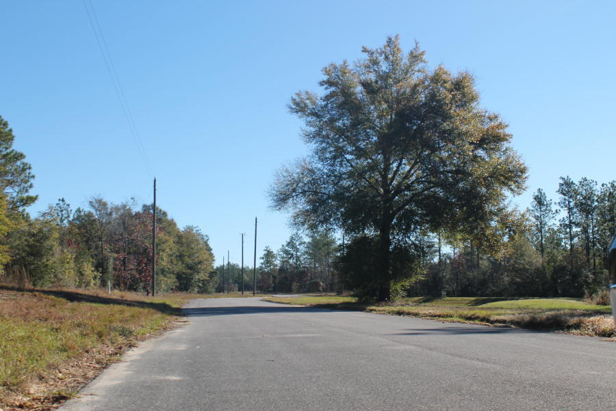 Timberland Ridge - Land