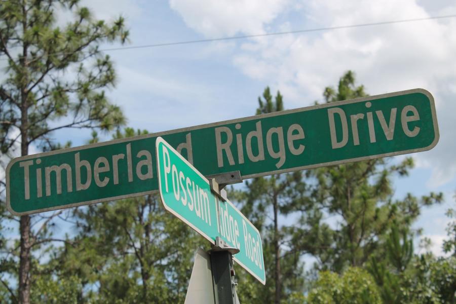 Timberland Ridge - Land