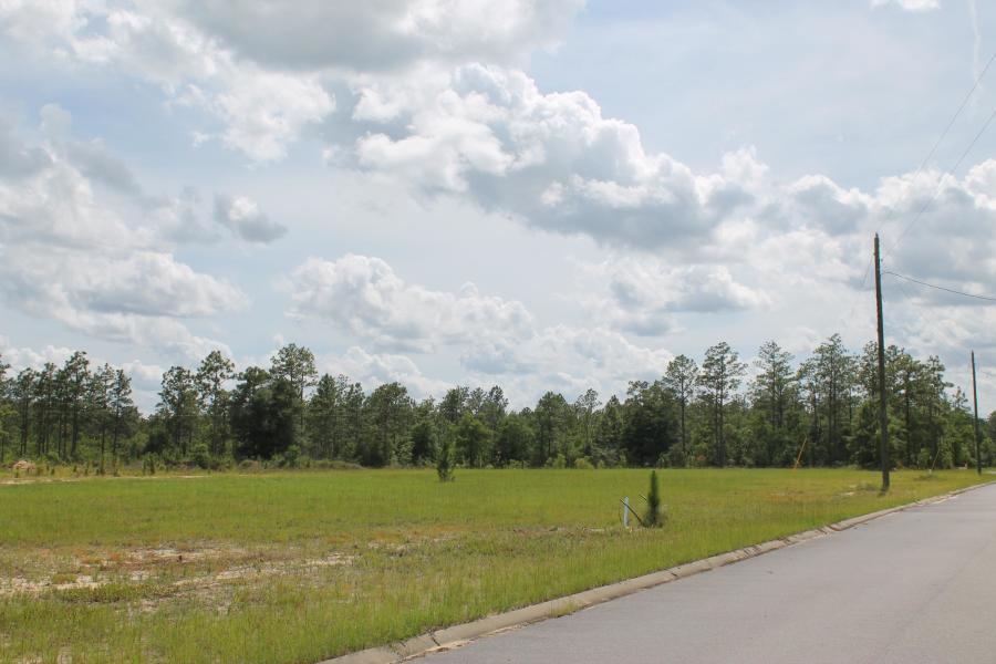 Timberland Ridge - Land