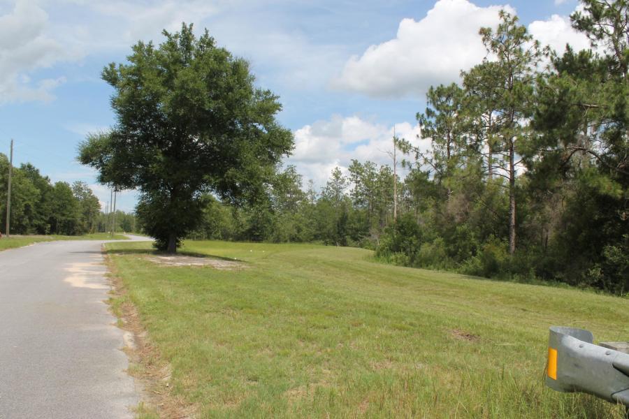 Timberland Ridge - Land