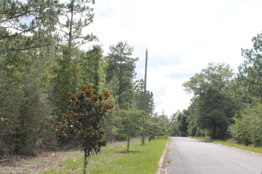 Timberland Ridge - Land