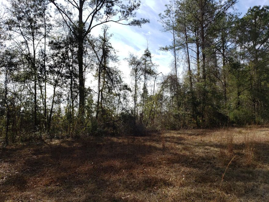 ***Under contract with 72 hour kick-out clause*** Rare opportunity to own 52 acres on Morrison Springs Road! Less than 5 minutes away you'll have access to Morrison Springs; a 161-acre state park that boasts a 250 foot diameter natural cool spring. Enjoy a fun day relaxing on the white sandy beaches; or diving into the crystalline waters and exploring the underwater caves reaching up to 300 feet deep! Jump into the crystal clear water from the easily accessible dock; or launch your canoe and explore the old growth cypress that surrounds the fresh water. Entertain friends and family at the pavilions that include picnic tables and charcoal grills. Call to schedule your showing today!