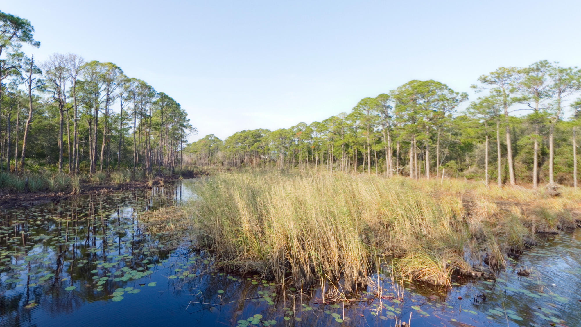 REDFISH VILLAGE - Residential