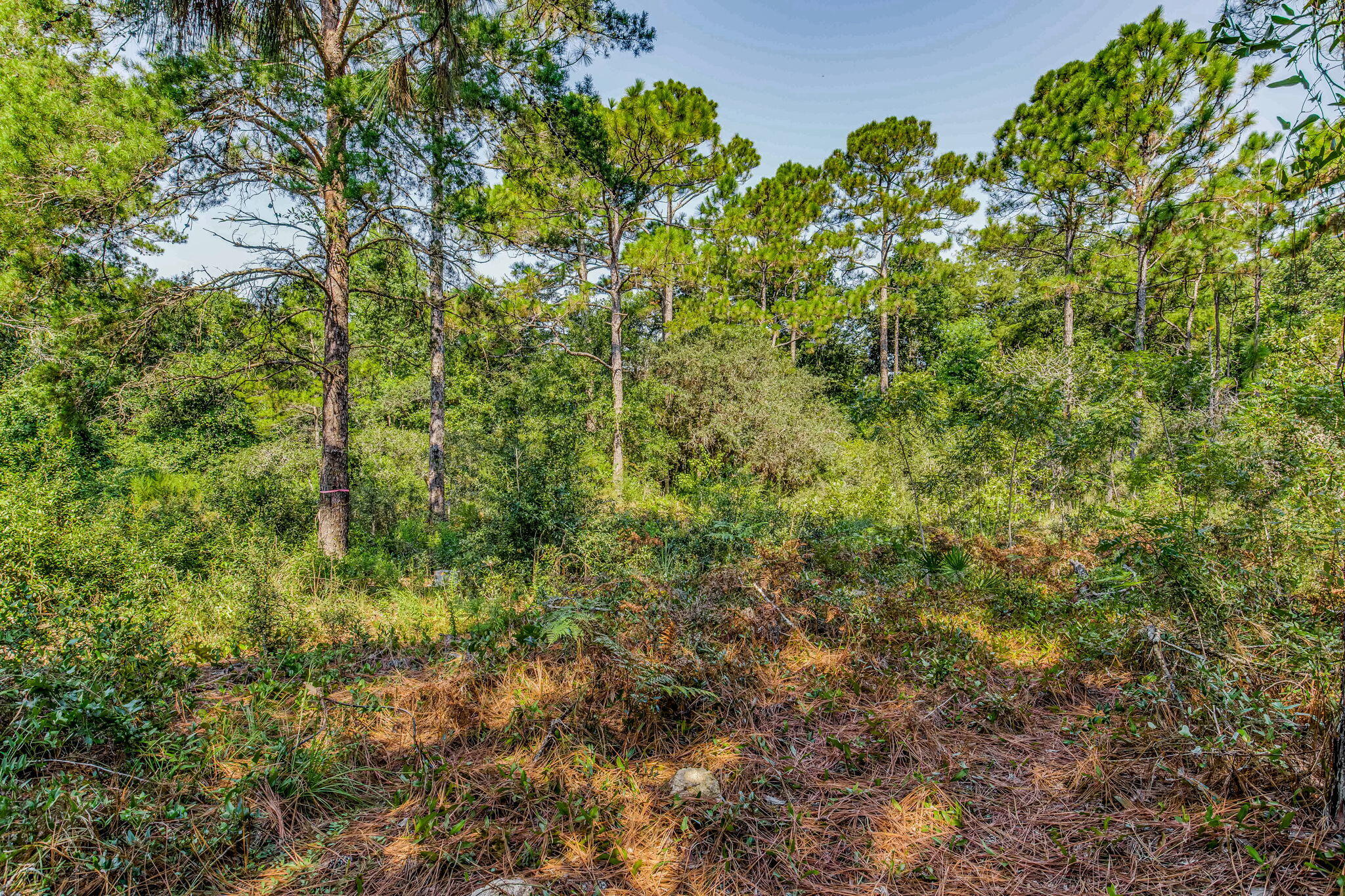 TURKEY-CREEK ESTATES - Residential