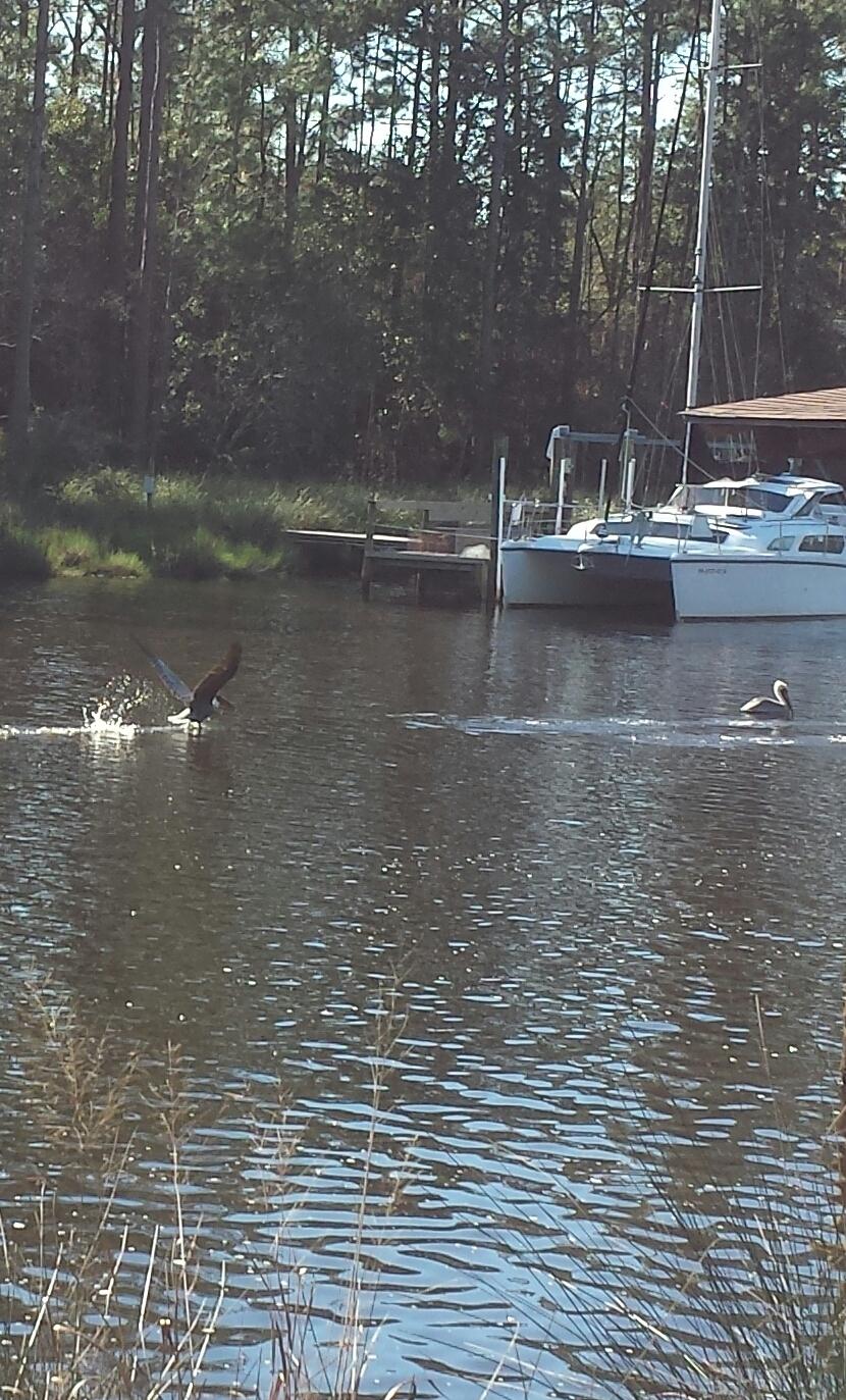 BEAUTIFUL DEEP LOT WITH 90 FEET OF WATER FRONTAGE ON MALLET BAYOU. THERE IS A NEIGHBORHOOD BOAT RAMP FOR USE TO OWNERS, SO NO NEED FOR BOAT DOCK RIGHT AWAY.THIS IS A GROWING AREA, WITH HWY 331 FOUR LANE TO BE COMPLETED IN 2017. THIS LOT IS JUST MINUTES TO SHOPPING AND TO THE BEAUTIFUL WHITE SANDS OF SOUTH WALTON!