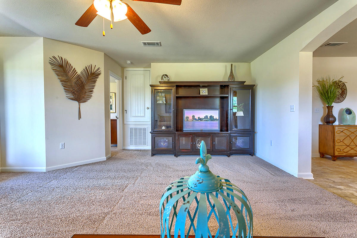 HAMMOCK BAY - Residential