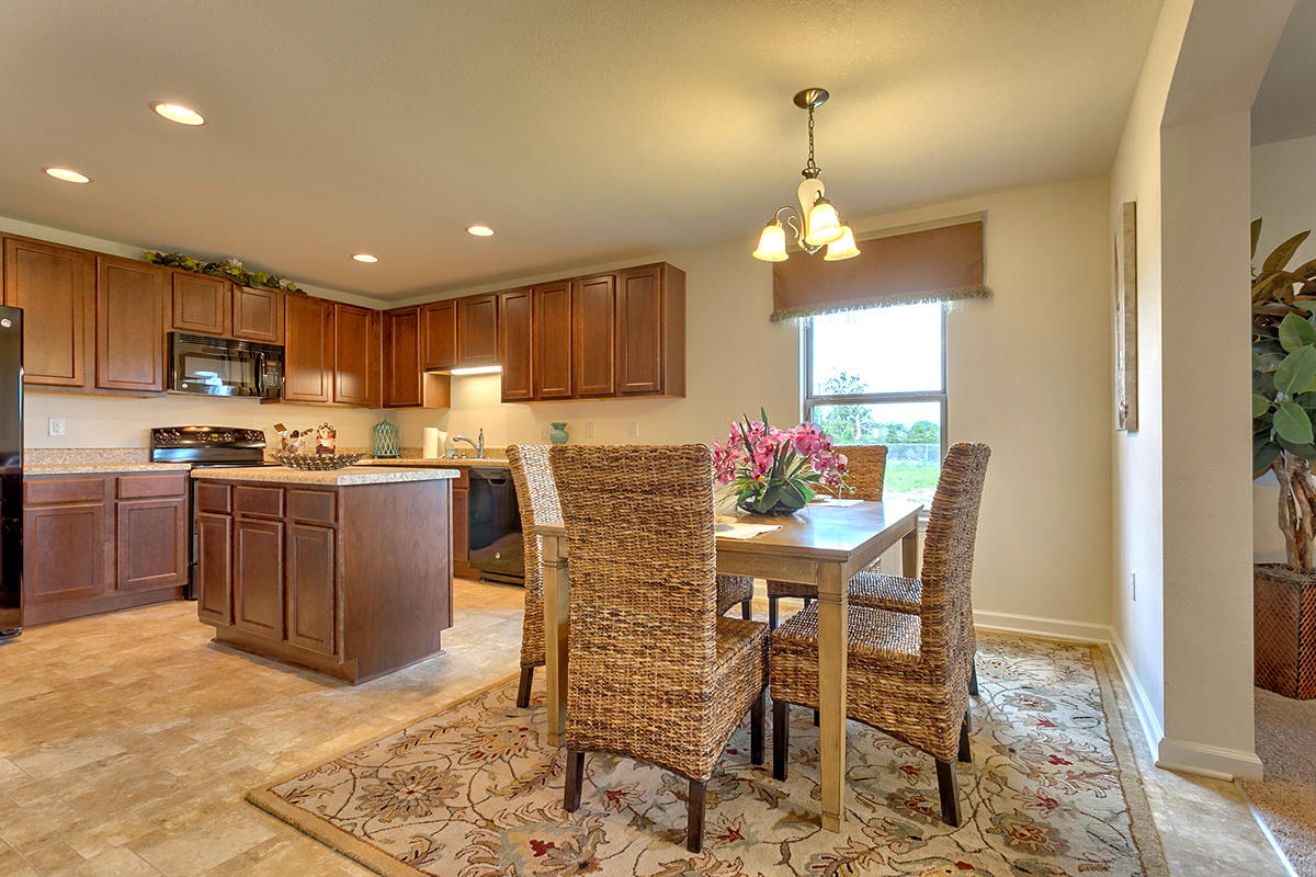 HAMMOCK BAY - Residential