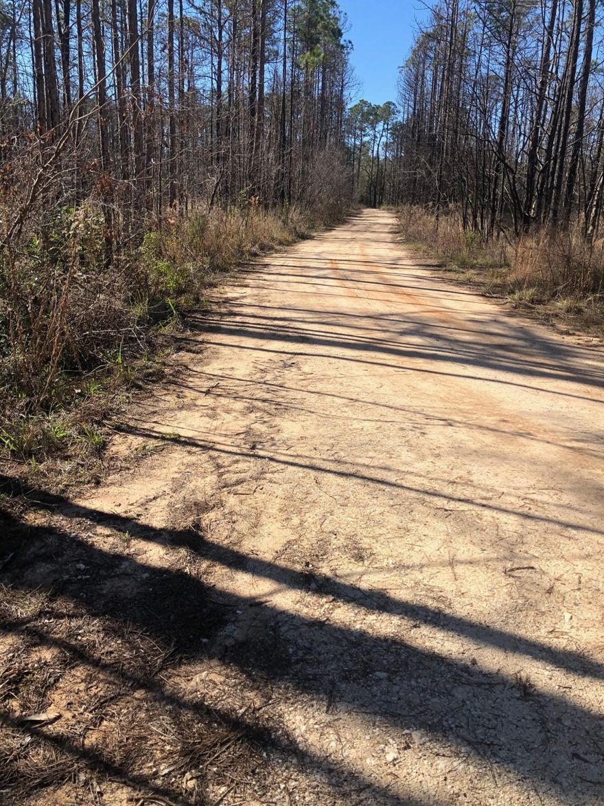 Wooded lot with bay access in Bon Bay.