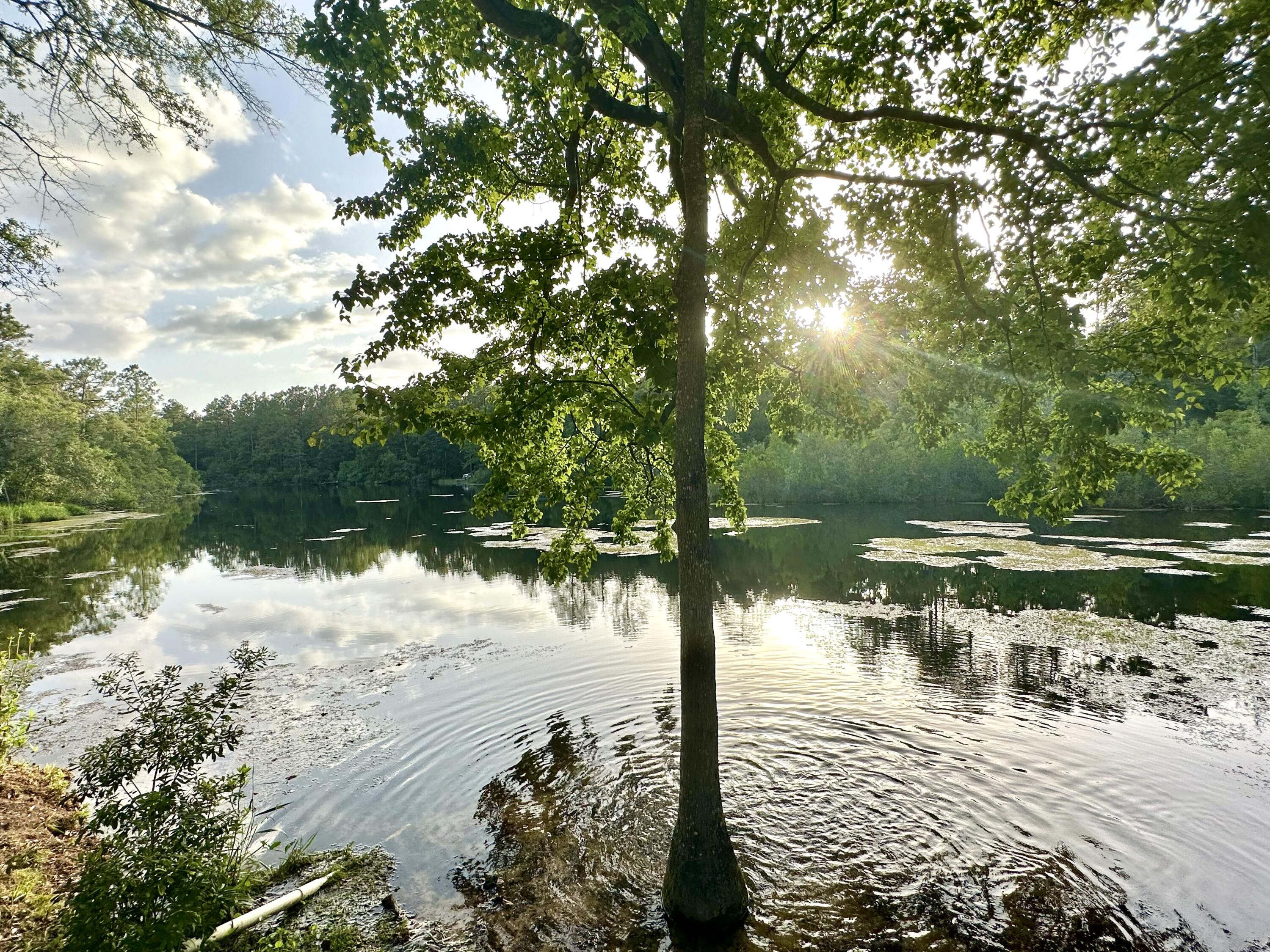 crestview Suburb - Residential