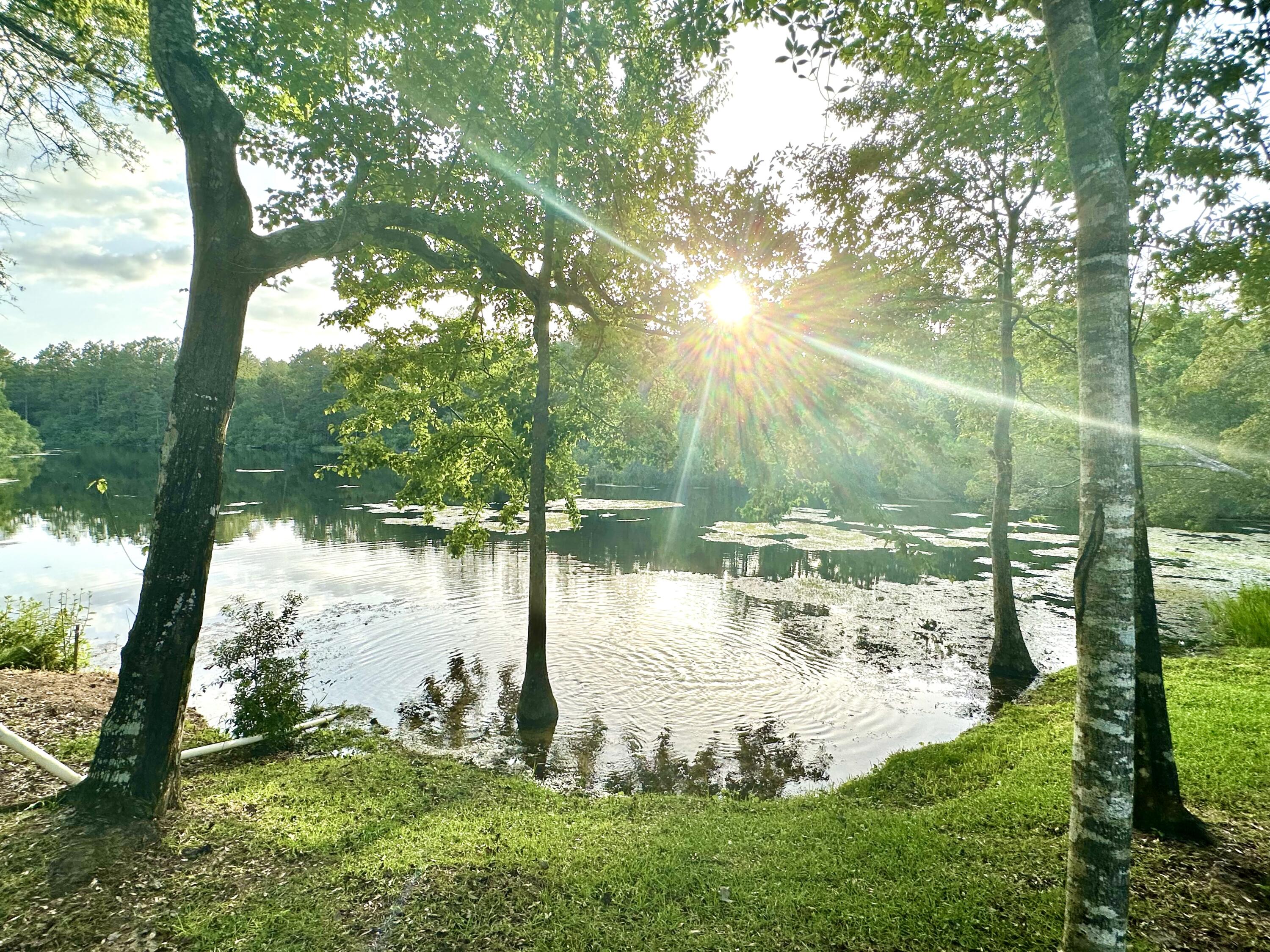 crestview Suburb - Residential