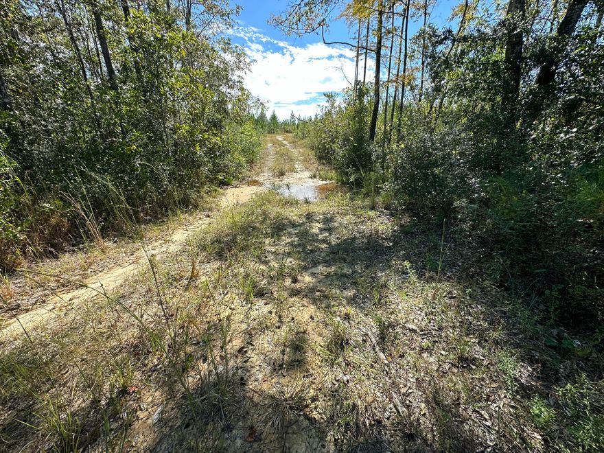 Northwest Florida timber/Homestead paradise! Approximately  .03 miles from Hwy 85. Bring the four-wheeler, tree stand, and the Barndominimum plans! The whipporwhills still sing, and the stars are bright! Not far from town, but rural, partly zoned Ag and part Rural Residential. Millside Road, Laurel Hill, 60.29AC+/- Parcel with additional land available if you desire a bigger piece of paradise. The county is working on paving plans for Millside Rd. Attention: Viewing by Appointment only - Property is currently under 2024-2025 Hunting Season lease which ends July 31, 2025.