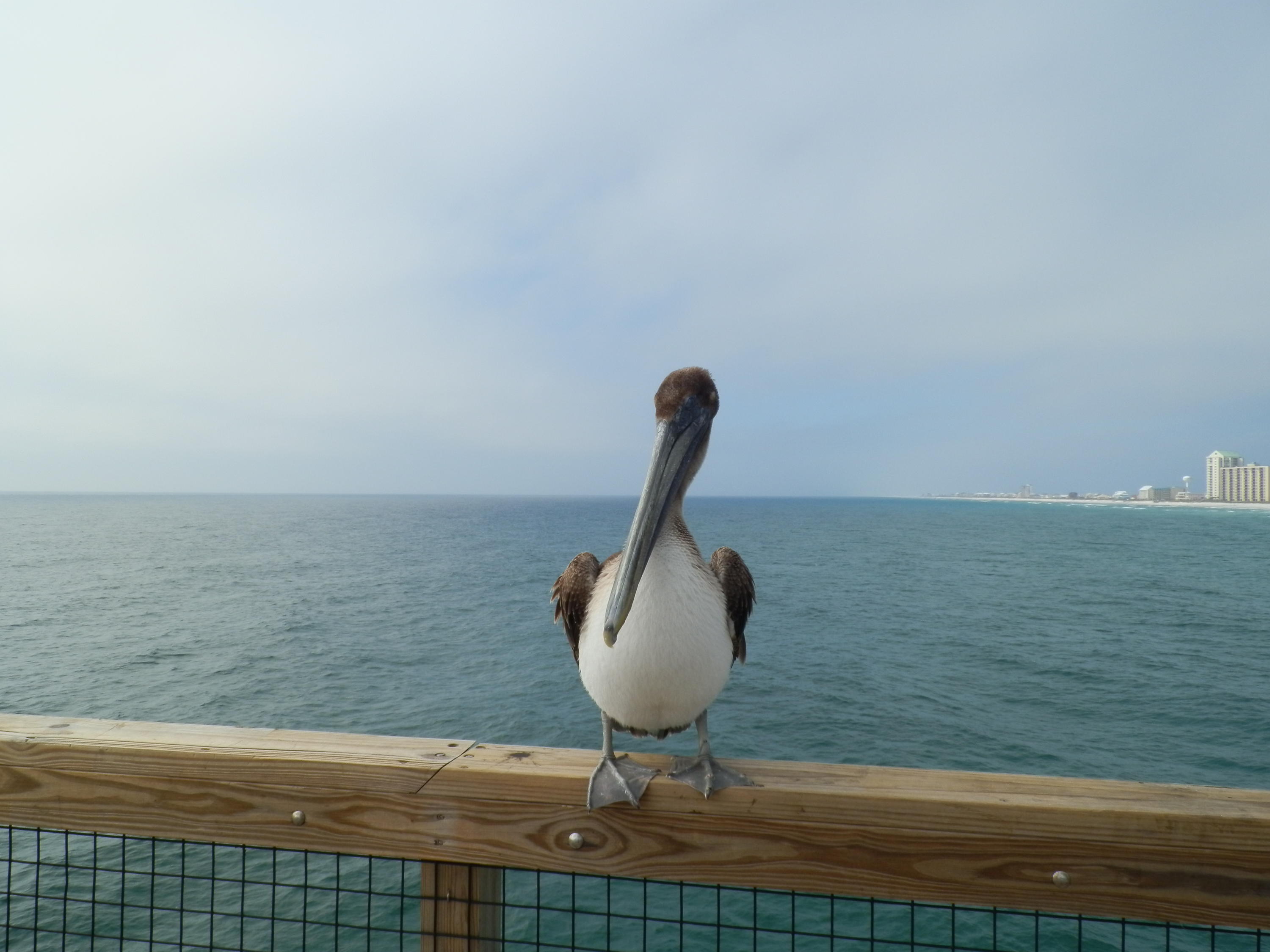 SANDCASTLE BEACH HOMES PHASE II LOT 3 BLK G AS DES IN OR 2948 PG 1072 - Residential