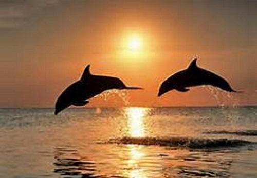 SANDCASTLE BEACH HOMES PHASE II LOT 3 BLK G AS DES IN OR 2948 PG 1072 - Residential