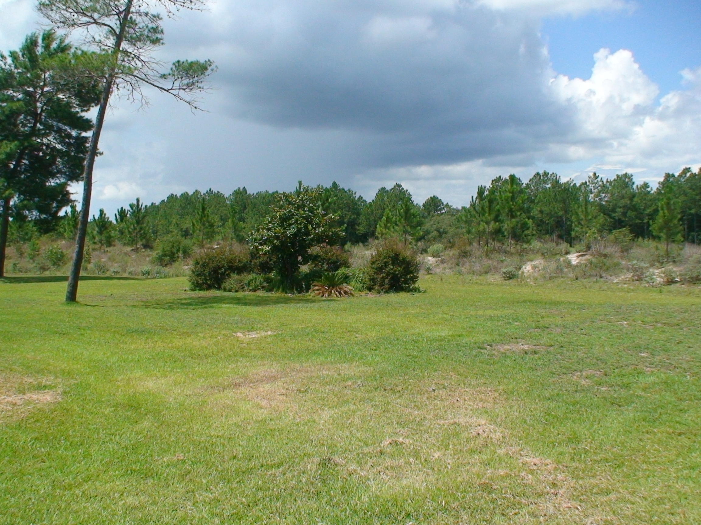 WINDSWEPT ESTATES - Residential