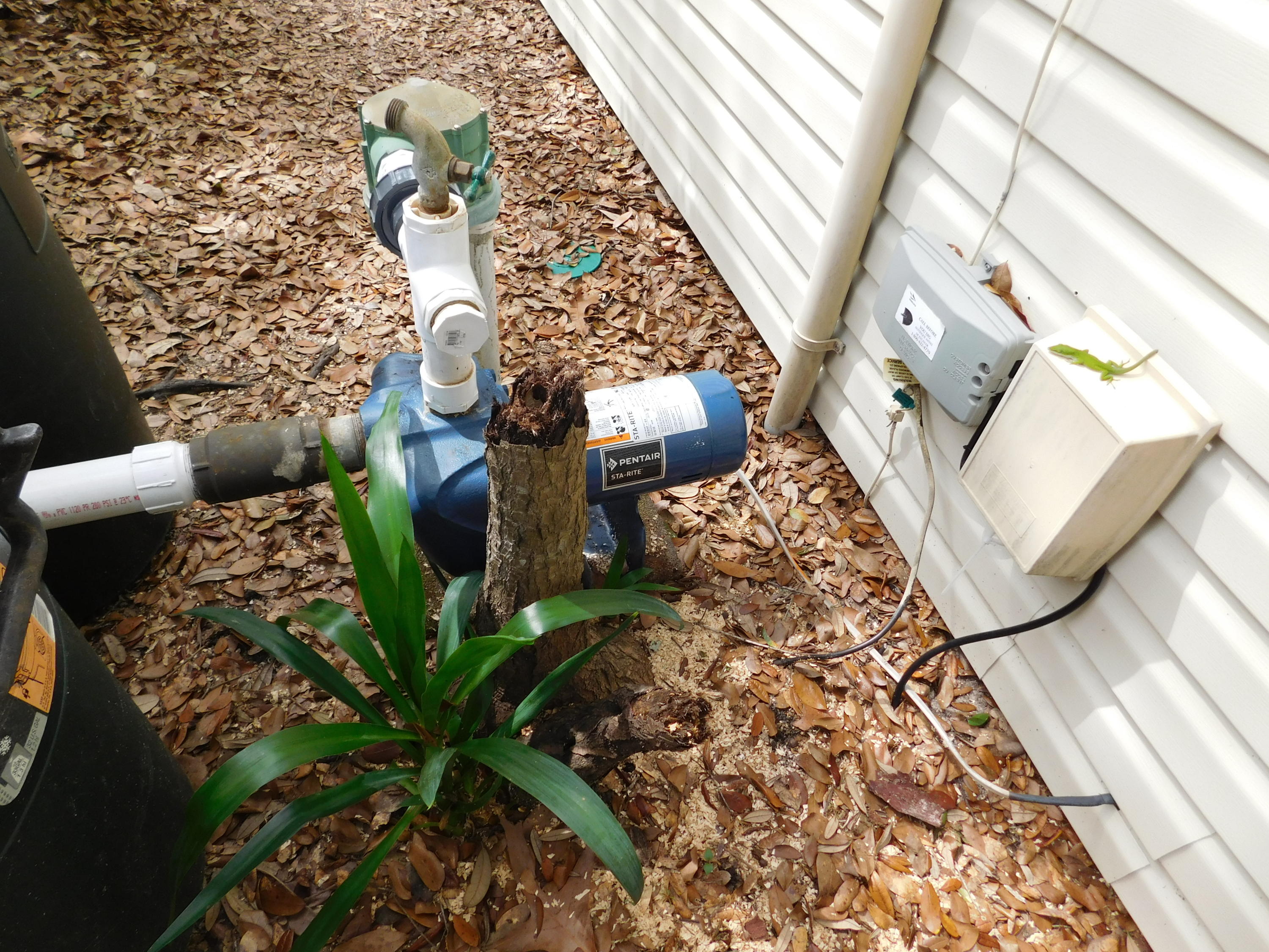 CARIBBEAN VILLAGE SOUTH 1 - Residential