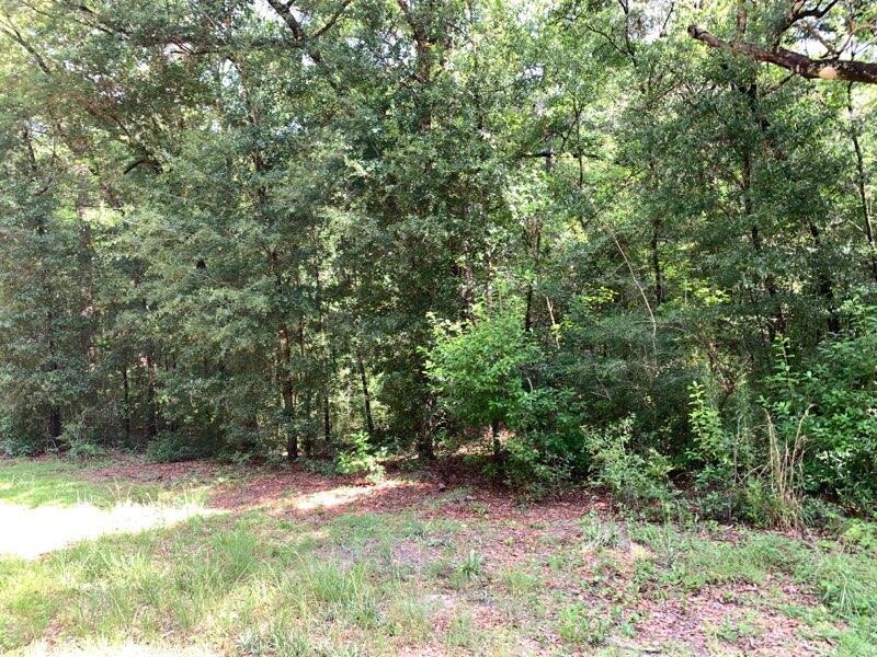 Wooded lot in city limits of Ponce de leon a block from Hwy 81N. City water and sewer available for $2,500 tap. Check with City to determine exact cost. Restrictions to site built homes of not less than 500 SF. No mobile homes or modular homes allowed per subdivision restrictions. Covenants attached. Small town living away from the hustle and bustle of city. Interstate 10 only a mile and half away for convenience to nearby shopping. Panama City Beach 45 minute drive. Beaches of south Walton about 45 minutes away. Adjoining lot can be purchased to give you more elbow room. Make this your get away!