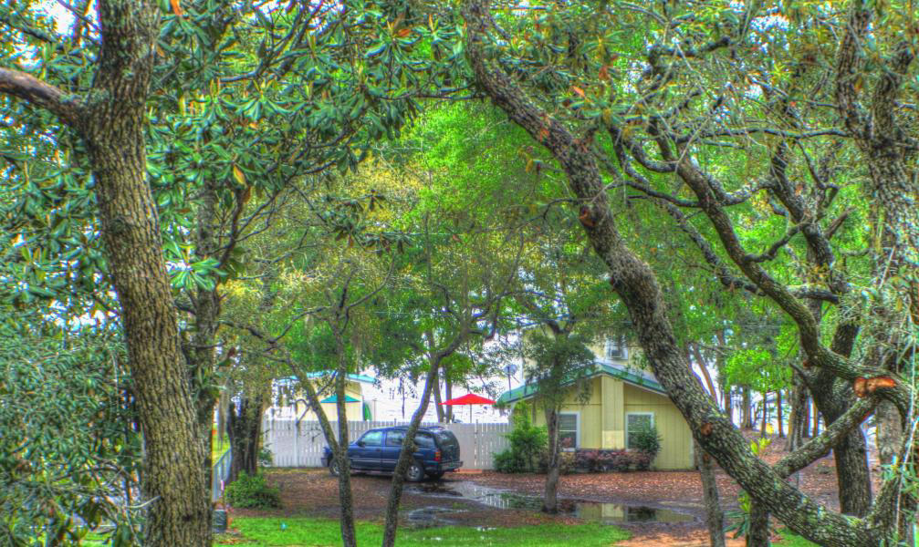 BAY MAGNOLIA - Residential Lease