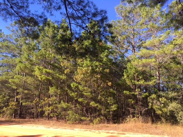 OAKWOOD HILLS UNIT 1 - Land