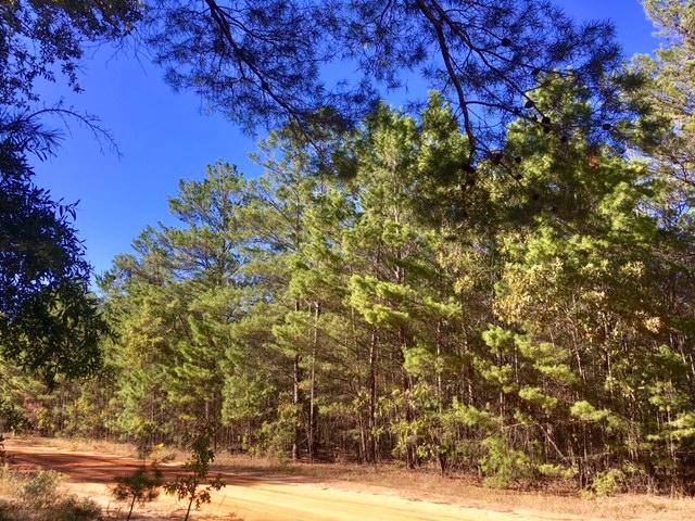 OAKWOOD HILLS UNIT 1 - Land