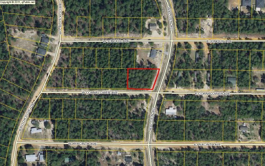 NICE HALF ACRE BUILDING LOT -- in Mossy Head. Two separate lots combined in this parcel on paved Walden Road and W. Cornflower Rd (unpaved). This lot is level and lightly wooded. Build your dream home or install a mobile home. There are two lots, so 2 homes could be placed as long as setbacks and county requirements are met. Water and electric are available on Walden Road. The right lot for the right price! All dimensions and suitability for intended use subject to verification by Buyer at Buyer Expense.